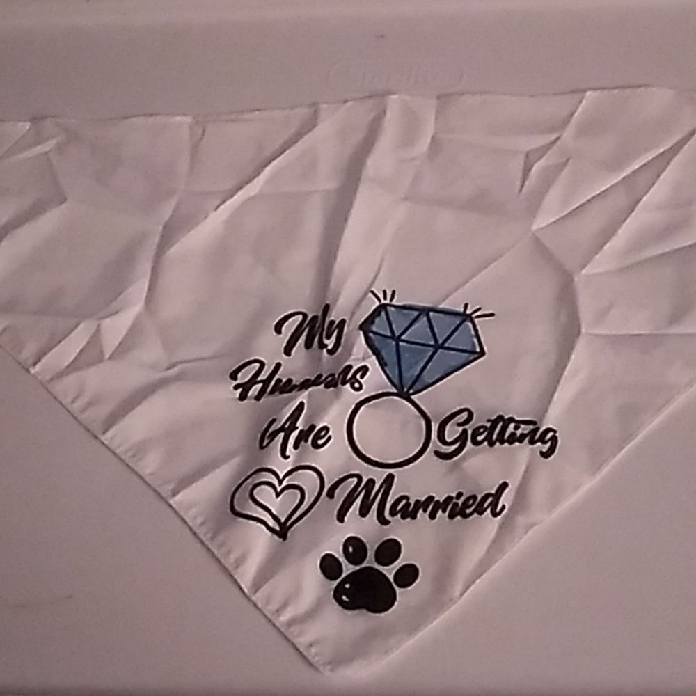 Pet Bandana 